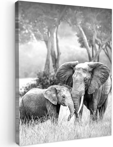 MuchoWow© Impression sur Toile Decoration Murale Peinture 60x80 cm Tableaux Decoratifs Muraux Déco Chambre Tableau Salon Elephant - Animaux - Noir et blanc