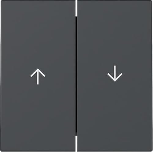 Gira 329428 Wippe Anthrazit 2-Fach