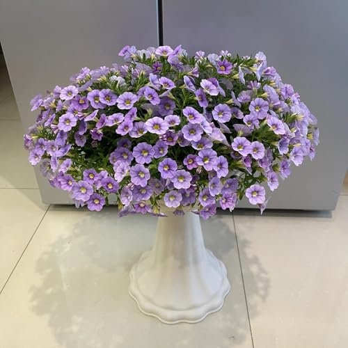 Zauberglöckchen samen (Calibrachoa elegans), samen anzucht，fensterbank deko winterharte kübelpflanzen，Farbenprächtige garten geschenk，Dekorative Pflanzen bonsai samen，pflanzen für 250pcs
