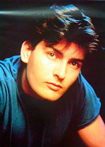 Charlie Sheen - Poster Starfoto 37x53cm gerollt