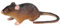 EHJRE Maus Spielzeug Modell Ratte Spielzeug Figur Streich Prop Spielzeug Tier Figur Simulation Kindergarten Party Liefert Geburtstag Kinder, Stil b