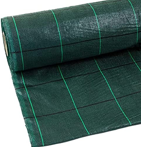 N.G. NICCOLAI - Telo PACCIAMATURA in Rotoli - Polipropilene - PERMEABILE - Varie Misure - Verde O Nero QUADRETTATO Verde - Anti Erbacce - ANTIALGA - Ecologico - CALPESTABILE (1,05X100 Metri, Verde)