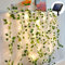 cuzile Ivy String Lichter Solar betriebene künstliche Ivy Lichter 50 LED Rebe Lichter Schlafzimmer Reben Lichter für Wand Zimmer Fenster Hochzeit Innenparty Festival Weihnachtsdekoration