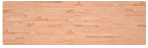 vidaXL Werkbankplatte, Arbeitsplatte Tischplatte Rechteckig, Holzplatte Platte für Flurbank Werkbank, Multiplexplatte Schreibtischplatte, 180x55x2,5 cm Massivholz Buche