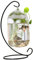 Fish Bowl Clear Wall Fish Tank with Black Stand Fish Small Table Glass Beta Fish Tank Creative Vase Aquarium for Home Office Decoration