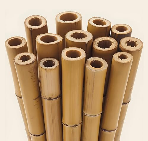 Gardens 2Ft,3Ft,4Ft,5Ft,6Ft,7Ft,8FT,10Ft Strong Heavy Duty Professional Bamboo Plant Support Garden Canes (10, 3ft, 12-14 mm)