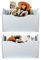 PAG Wand-Aktenhalter aus Holz Wandmontage Zeitungshalter Wandprospekthalter Post-Organizer zum Aufhängen für Post Zeitschriften Briefpapier Ordner,2 Taschen, Weiß