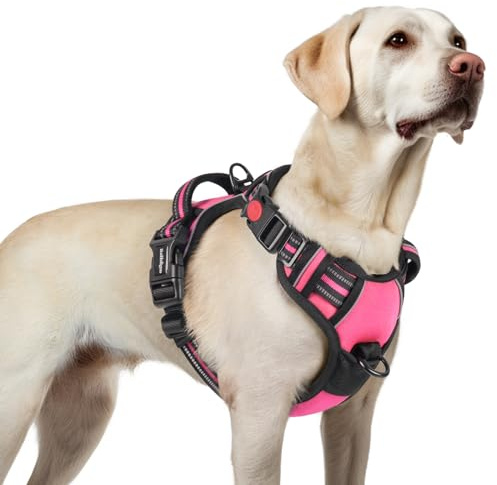 rabbitgoo Pettorina Cane Taglia Media con Aperto sul Collo, Antifuga Pettorina ad H, Maniglia Rinforzata e Bande Riflettenti per Cani Grandi, Ideale per Passeggiate e Addestramento, Rosa Rossa, L