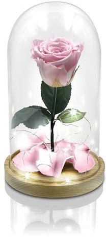 Aluisi Fiori - Rosa La Bella e La Bestia Rosa - Campana di Vetro - Base in Legno Naturale - con LED