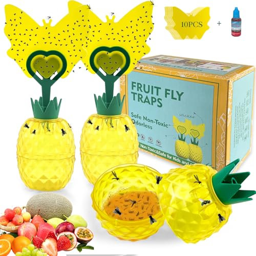 Fliegenfalle,2 Stück Fruchtfliegenfalle Innenbereich mit Lockstoff,Wiederverwendbare Obstfliegenfalle, Fliegen Fänger mit Gelbsticker,für Pflanzen Innen und Außeninsekten Fliegenkontrolle
