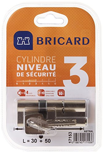 Bricard 17153 Cylindre débrayable Astral 2, 9 en Laiton Nickelé 10 Pistons, 2 entrées 30+50, Protection contre le perçage et Le Crochetage. Carte personnelle., Acier Nickelé, 80 = 30+50