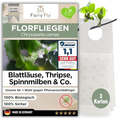 FairyFly® Florfliegenlarven gegen Blattläuse & Wollläuse (3 Karten) – Nützlinge zum Aufhängen für Zimmerpflanzen – biologische Schädlingsbekämpfung ohne Chemie – Florfliegen Eier