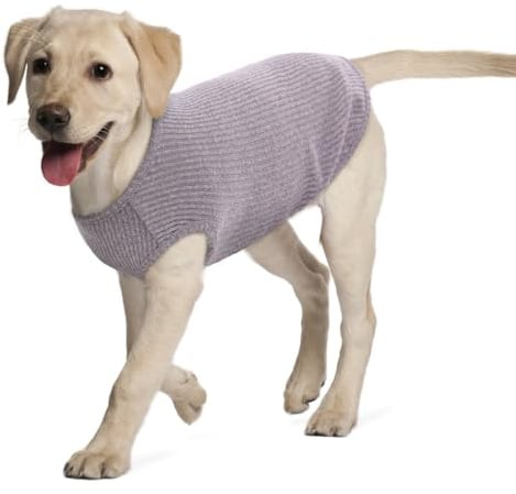 Hundeshirt Mittelgroße Hunde | Sommer Hund T-Shirt Leicht (XL) | Atmungsaktiv, Weich & Bequem, Rundhals Design | Hunde Bekleidung | Cocker Spaniel, Border Collie