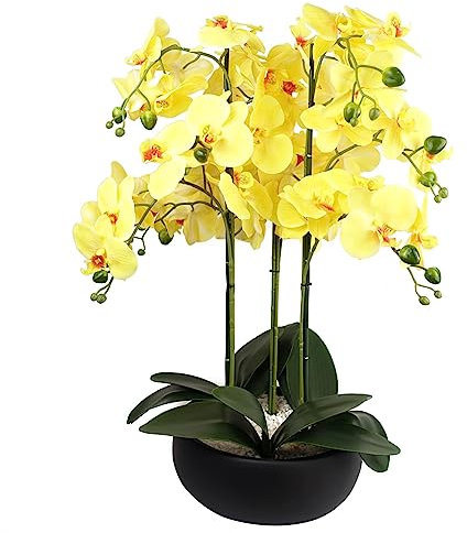 Leaf Design UK Realistic Artificial Orchid Flower Display in Pot
