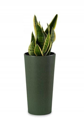 HowHomely Blumentopf Gross Hoch 47 cm mit Pflanzkübel Einsatz 26 cm Durchmesser - Grün Pflanzkübel Groß aus Kunststoff für Deko Wohnzimmer Garten oder Terrasse