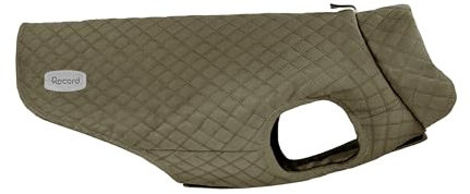 Record - Brandy Hundemantel. Hundemantel mit Klettverschluss und verstellbaren Gummibändern für Pfoten. Warmer und bequemer Wintermantel für Hunde | Dunkelgrün, XXS, Rückenlänge 25 cm