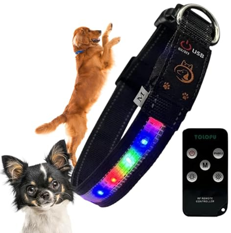 Leuchthalsband für Hunde, wiederaufladbar und wasserdicht, verstellbares Halsband mit 7 Leuchtmodi für kleine, mittelgroße und große Hunde (S)