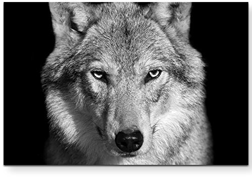Paul Sinus Art Leinwandbilder | Bilder Leinwand 120x80cm Portrait – Wolf schwarz, weiß