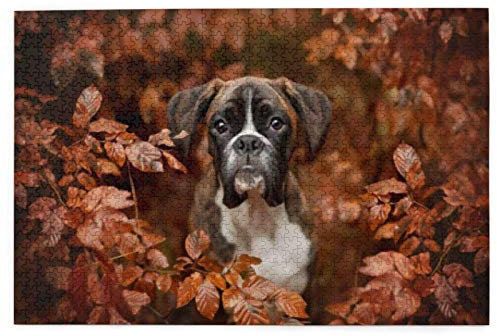Jigsaw Puzzles 1000 Pieces Boxer Dogs Autumn Selfie Wooden Jigsaw Toy Family Game Wall Decor for Adults Teens