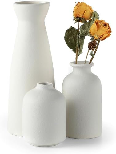 Sawoake Set di 3 vasi in ceramica bianca, piccoli vasi di fiori per arredamento, moderna casa colonica rustica, decorazione per la casa, vasi decorativi per pampas grass idea scaffale (bianco)
