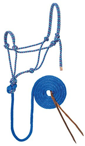 Weaver Leather Halfter und Leine, geflochten, Diamant, Blau/Orange/Limette, 3 m