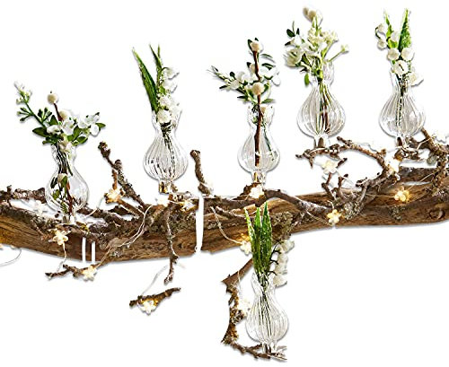 Loberon Vase 6er Set Josephine, Filigranes Design, Dekorativ und Funktionell, mit Clip, Ostern, Osterdeko, Accessoires, Glas, klar