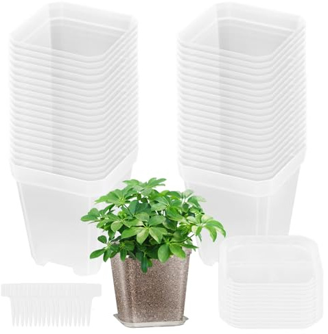 XMDROU Lot de 40 petits pots de fleurs, transparents, 7 cm, avec soucoupe et étiquette, en plastique, polyvalents, mini pots de fleurs, carrés, pour graines, plantes succulentes