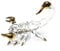 WitnyStore Winzige Skorpion-Figur, 9,6 cm, transparent, goldfarben, mundgeblasen, Glas-Skorpione, Spinnentiere, Wirbellose, Insekten, bunte Kristalltiere, dekorative Sammelfiguren, Dekoration,