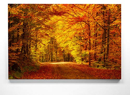 BilderKing Atemberaubendes Herbstpanorama Wandbild - Goldener Waldweg - als 90x60cm große Leinwand. XXL Wandbild als Hintergrund und Deko für Wohnzimmer & Schlafzimmer. Aufgespannt auf Holzrahmen