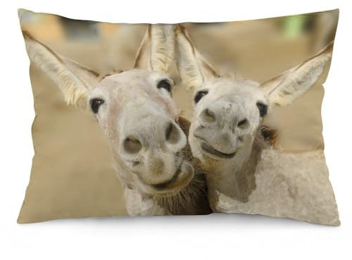 NIBABA Kissenbezüge, 1 Stück, niedliche Tiere, glückliche Esel, dekorative Kissenbezüge, 35 x 50 cm, weiches Polyester, quadratisch