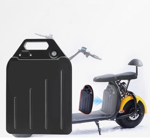 48V 13Ah 15Ah Electric Motorcycle Battery 60V 30AH 20AH 15AH 12AH Motorcycle Scooter Battery for 0-1800W Ebike Moped Tricycle Motors with Charger (60V 12Ah)