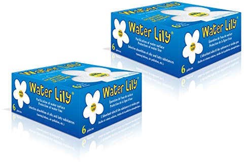 Fleur Water Lily : nettoyant absorbant - Boîte de 6 - Lot de 2