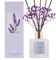COCORRÍNA Raumduft Lavender Thyme, 200ml Reed Diffuser mit 8 Duftstäbchen, Lufterfrischer für Badezimmer, Wohnung, Heimdekoration