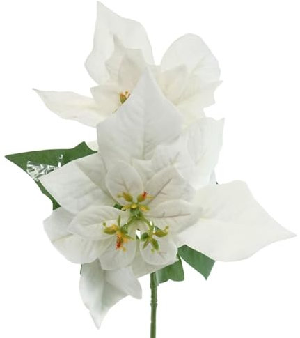 Gasper Weihnachtsstern - Poinsettie Weiß mit 2 Brakteen 32 cm - Kunstblumen