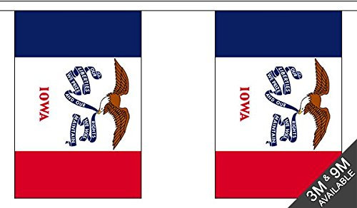 The Flag Wholesaler Iowa Wimpelkette (30 Flaggen) 9 m