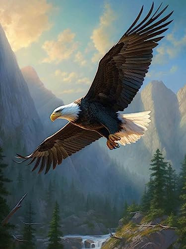 Bimkole DIY 5D Diamond Painting Zubehör Fliegender Adler, Tier Diamant Malerei Kit Voll Runde Bohrer Malen nach Zahlen Malerei Stickerei Kreuzstich Diamond Dekoration 30X40 cm