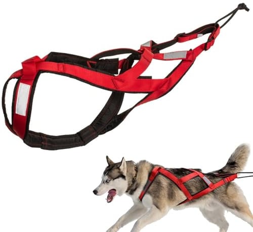 Zuggeschirr für Hunde | Ultra-Robust & Reflektierend | Aktivgurt für Schlittenhunde, Sport & Training | Komfortabel & Ausgezeichnet (Rot, L)