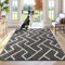 Biscpro Indoor Door Mats,80x100cm Door Mat Non Slip Backing,Dirt Trapper Mat Absorbent Non-Slip Doormat for Entrance,Inside,Kitchen,Front Back Door,Pets and Garden-Black