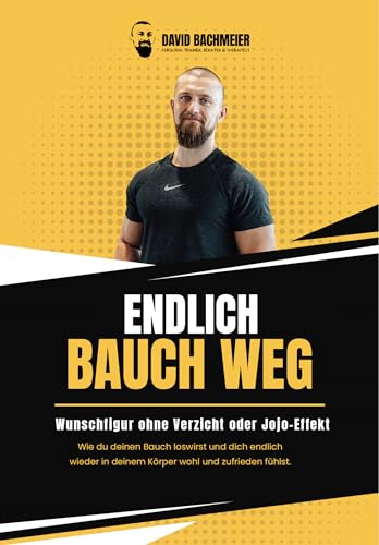 Endlich Bauch weg David Bachmeier Bauch loswerden individuellen Ernährungs- und Trainingsplan gestalten 100 Seiten purer Content