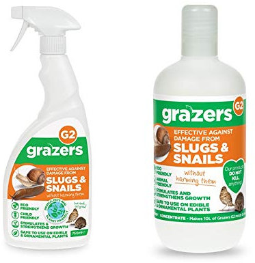 Grazers G2: RTU (750ml) + Concentrate (350ml) Combination
