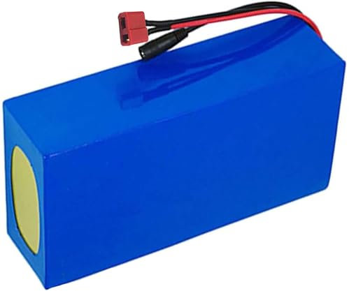 Batteria Ebike Da 12V 24V 25.2V 29.4V 36V 48V 8AH 10AH 12AH 15AH 18AH 20AH 25AH 30AH Batteria Al Litio Batteria Ricaricabile Da Per Motore 800 W Con Caricabatterie 24V25.2V12AH,T