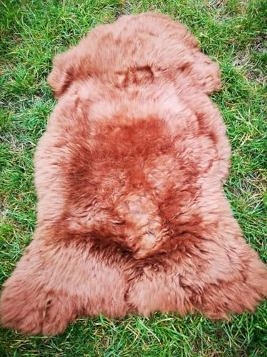 TOP ÖKO LAMMFELL SCHAFFELL Felle Toffee BRAUN NEU L - XXL (100-110 cm x 50-60 cm)
