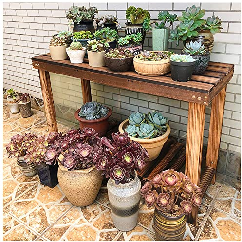 Garten-Pflanzbank, 2 Etagen, Pflanzenregal, Innen- und Außenbereich, Blumentopf, Display-Regal, mehrere Leiterständer, Pflanzgefäßhalter, für Veranda, Gewächshaus