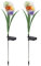 Marhynchus Luce a Base di Fiori Solari con Fiori Reali, Rilevamento Automatico - IP65 Lampada da Pila Sommabile Impermeabile