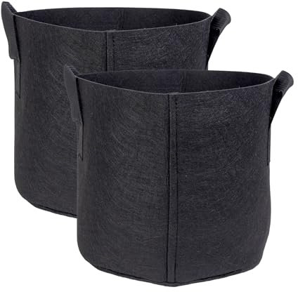 INTIRILIFE 2X Pflanzsack aus Vlies Stoff 20 Liter -5 Gallon- 30 x 25 cm - Pflanzen Übertopf mit Tragegriffen für Garten, Gewächshaus - Pflanzkübel Pflanzgefäß Pflanzbeutel Pflanztasche Kartoffelsack