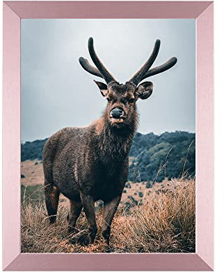 Rahmendesign24 Posterrahmen Milano 21x29,7 (DIN A4) Roségold Fotorahmen, Wechselrahmen, Bilderrahmen, Puzzlerahmen