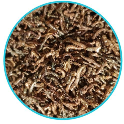 Rote Mückenlarven FD im 50 g - 250 g im Beutel, Fischfutter, Reptilienfutter (100 g)