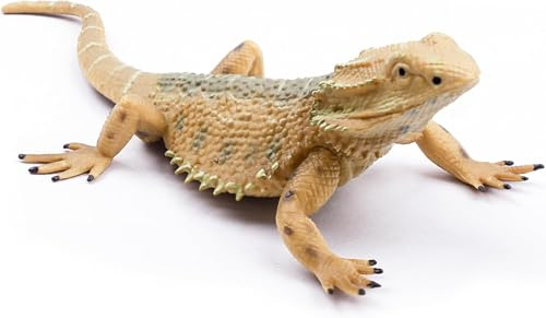 Rismise Eidechse Figur Spielzeug Eidechse Tiere Figuren Eidechsen Spielzeug Plastik Eidechsen Modell Bartagame Tierfiguren für Kuchen Dekoration Lernspielzeug Gecko Tier Trick Reptil Prank Requisiten