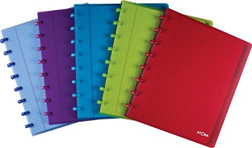 Atoma A5 Heft 6 Unterteilungen
