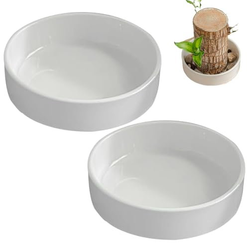 Teksome Fioriera in legno brasiliano, vaso per fiori per legno brasiliano, 2 pallet in legno brasiliano, vassoio in ceramica per piante brasiliane, vassoio per piante in vaso